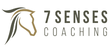 7senses coaching